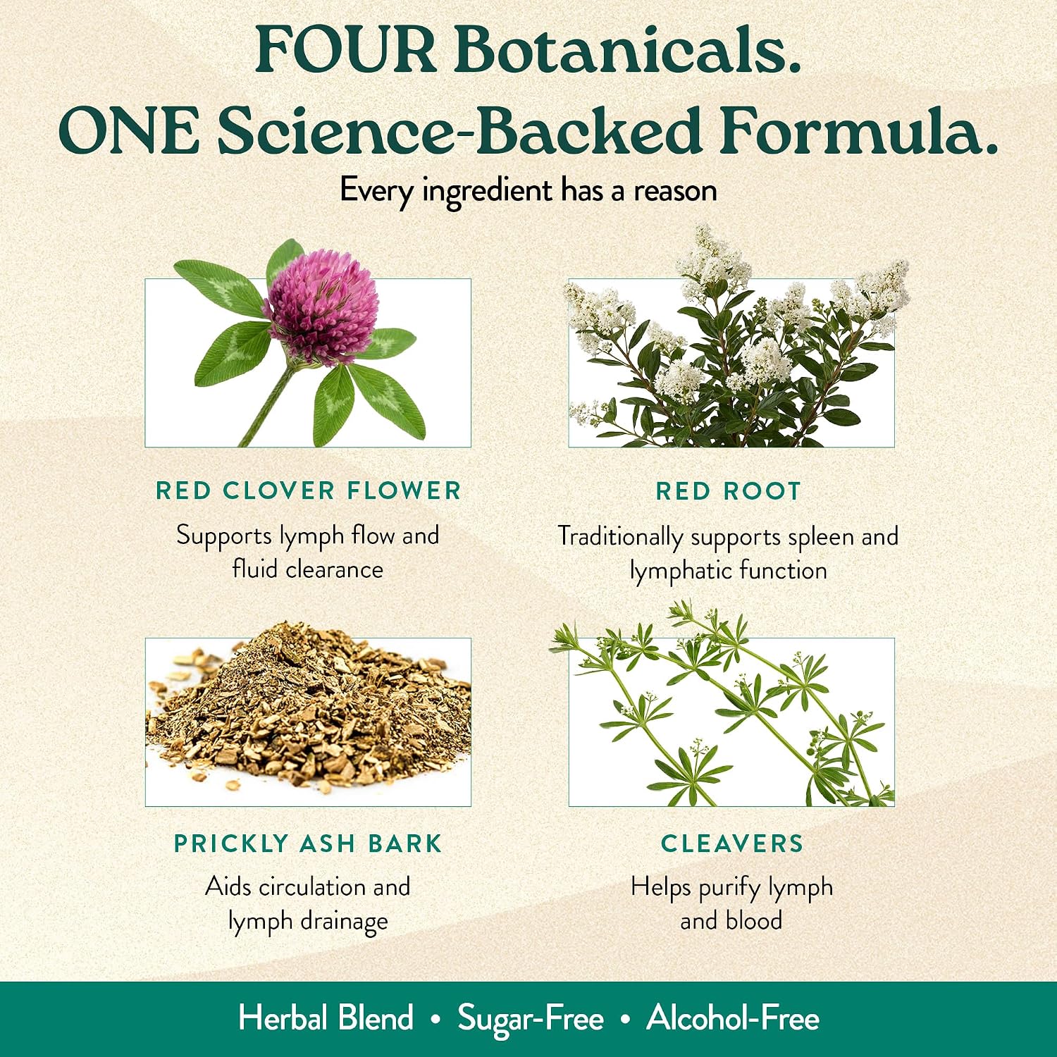 Lymphatic Drainage Liquid